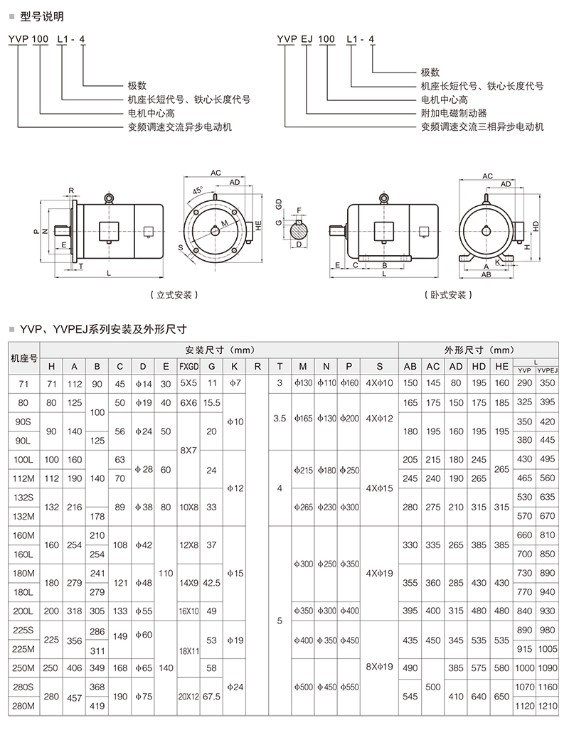 新大通2019樣本終稿-13 副本.jpg